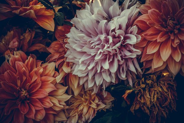 Les essentiels de l"emballage : protégez vos objets en cristal lors de votre déménagement!