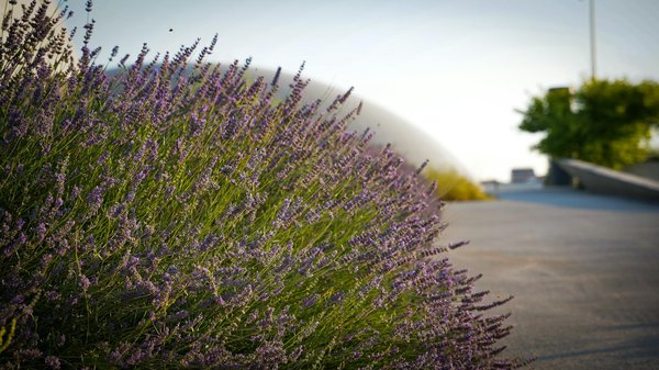 Construction piscine à toulouse : sur-mesure et durable