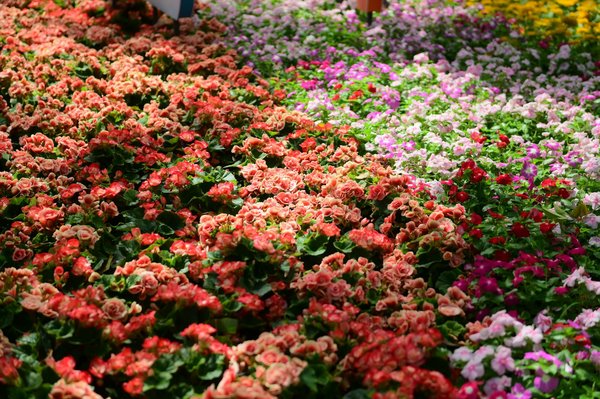 Créer un intérieur confortable grâce à une plomberie et un chauffage sur-mesure